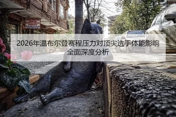 2026年温布尔登赛程压力对顶尖选手体能影响全面深度分析